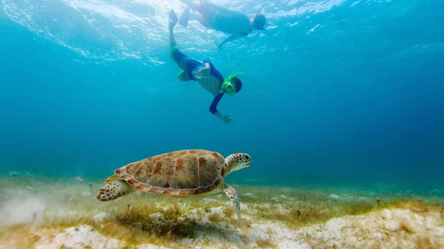 Salalah: Discover Mirbat's Snorkeling Paradise Guided Tour - Getting equipped before the water