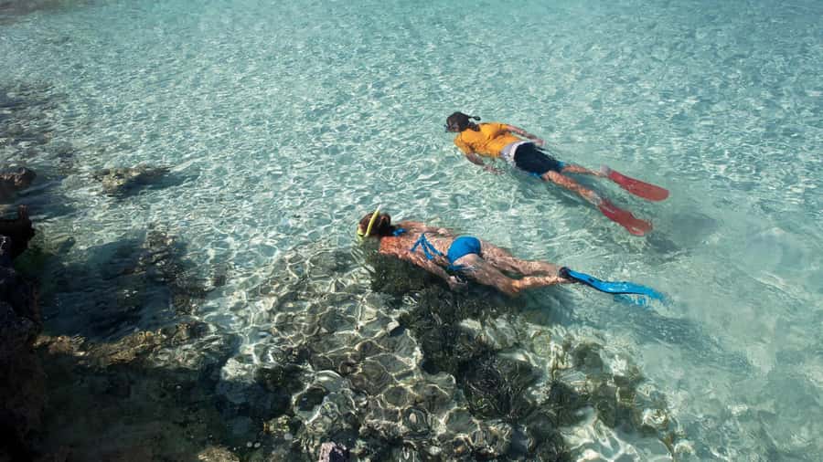 Salalah: Discover Mirbat's Snorkeling Paradise Guided Tour - Weather, comfort, and possible drawbacks