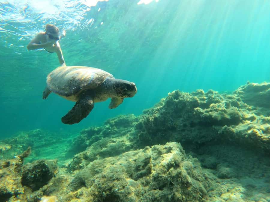 Salalah: Discover Mirbat's Snorkeling Paradise Guided Tour - Leaving Salalah with hotel pickup