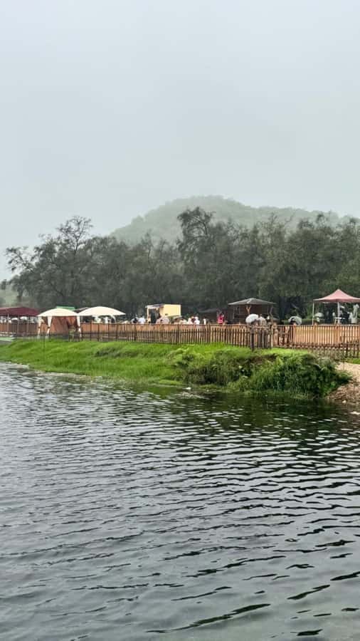 Salalah East Tour: Taqah , Darbat waterfall,camel's baobab - What the private vehicle changes
