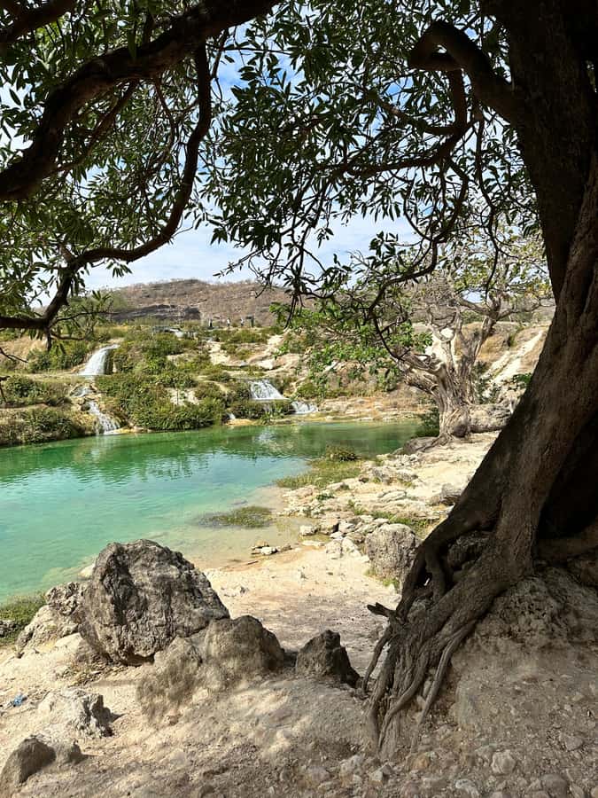 Salalah: Half-Day Guided Tour to Wadi Darbat & Mount Samhan - Key things to know before you book