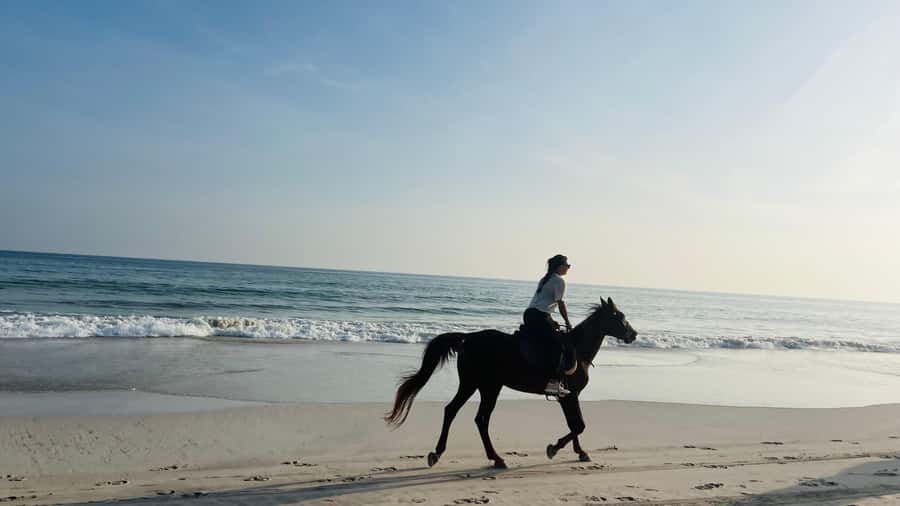 Salalah: Horse Riding by the Beach - A quiet ride beside Salalah’s Arabian Sea