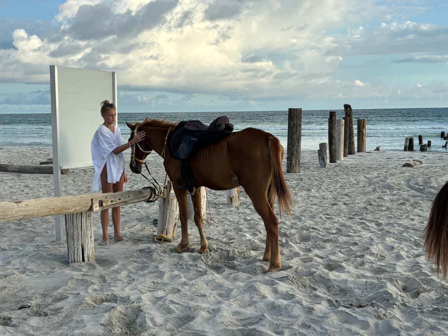 Salalah Horse Riding on the Beach optional Hotel Pick & Drop - Key things to know before you book