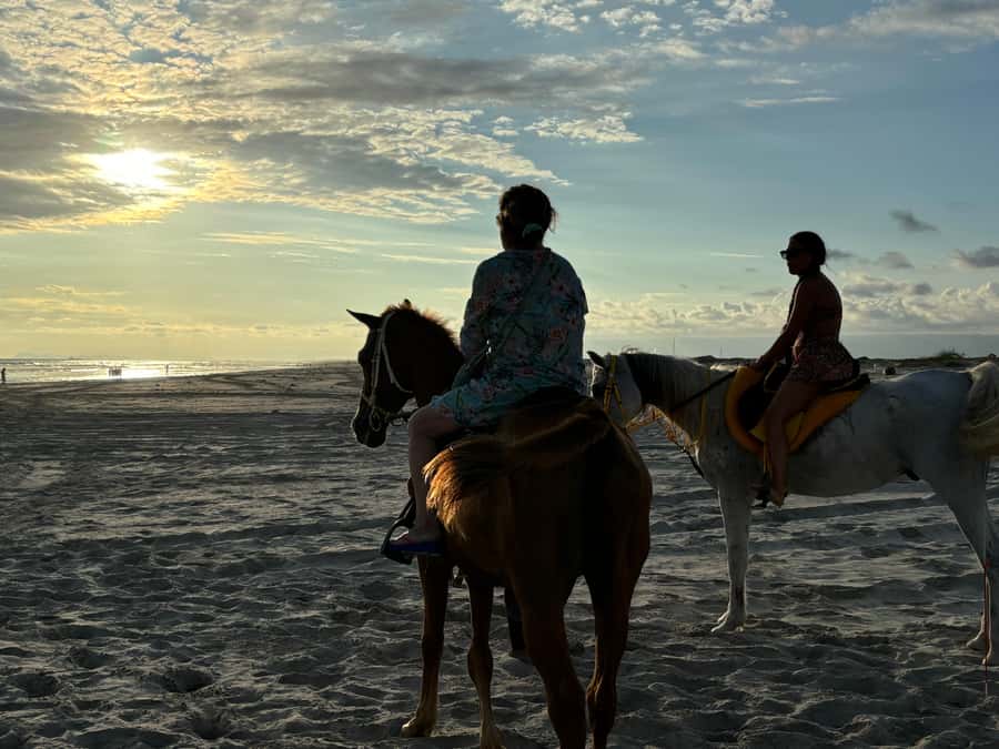 Salalah Horse Riding on the Beach optional Hotel Pick & Drop - Why a Salalah beach ride works so well at sunset