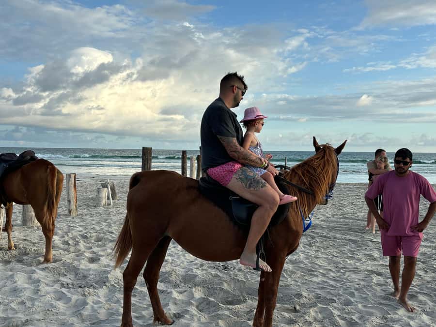 Salalah Horse Riding on the Beach optional Hotel Pick & Drop - What the 30-minute ride feels like