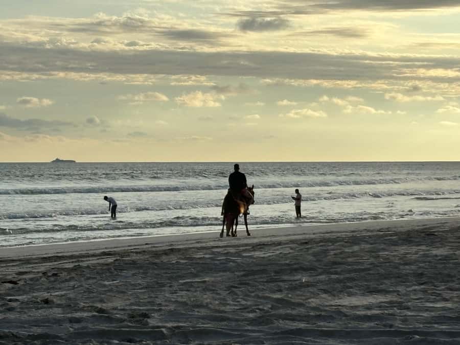 Salalah Horse Riding on the Beach optional Hotel Pick & Drop - Why the 1-hour option may be worth the extra time