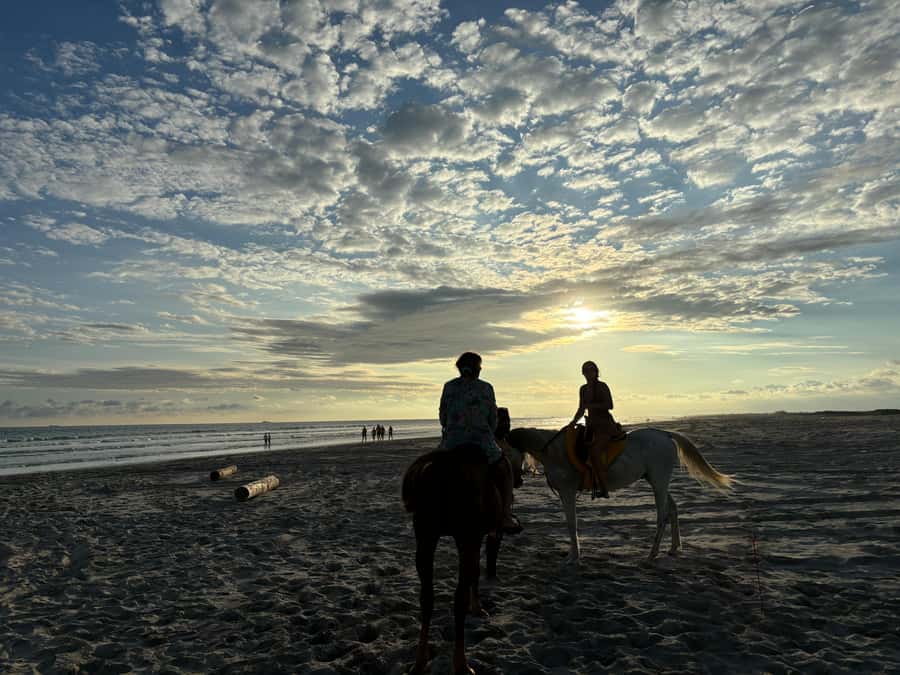 Salalah Horse Riding on the Beach optional Hotel Pick & Drop - How the guides shape the experience