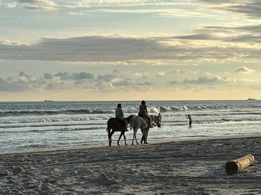 Salalah Horse Riding on the Beach optional Hotel Pick & Drop - Getting there and deciding on hotel pickup