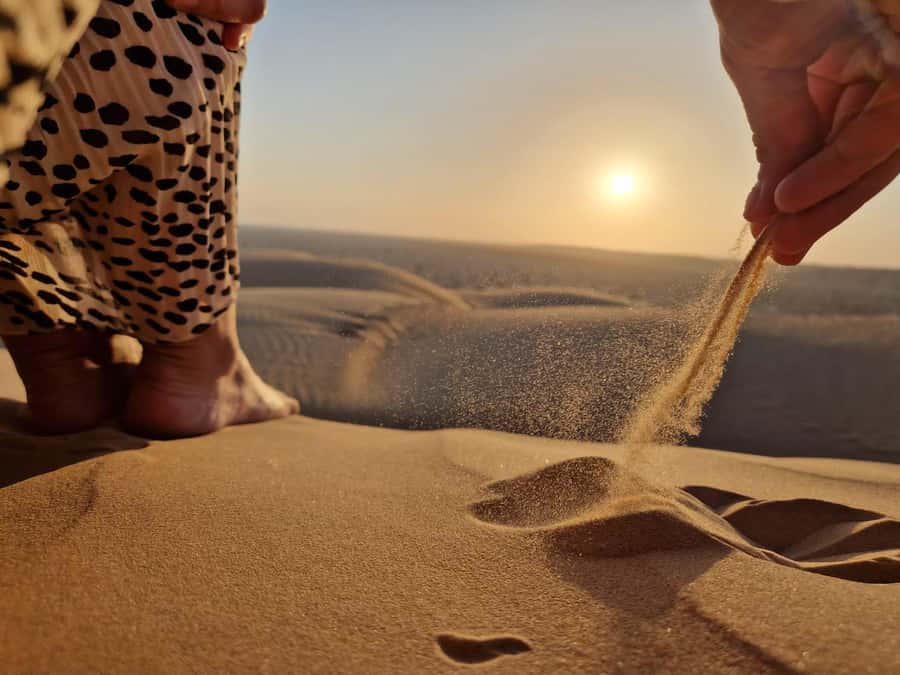 Salalah: Sunset Desert Safari - Rub Al Khali - Empty Quarter - Black camels and a rare desert sight