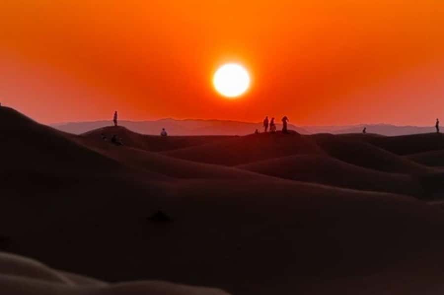 Salalah: Sunset desert safari tour in salalah(private tour) - Why this desert day is worth your time