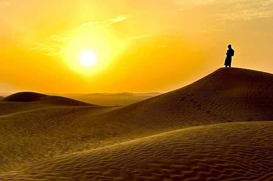 Salalah: Sunset desert safari tour in salalah(private tour) - The final drive into the Rub’ al Khali