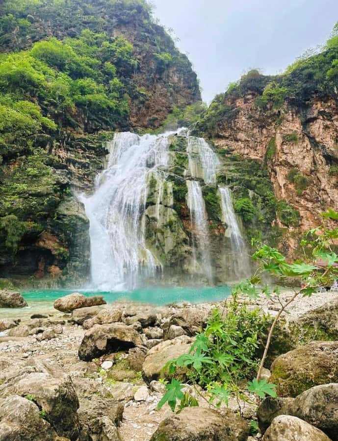 Salalah: Wadi Darbat, ,Teeq Cave - Baobou Trees Tour - Taqah Beach and the first coastal views