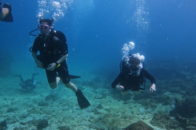 Scuba Diving Adventure in Musandam, Oman - What the $153.52 price includes