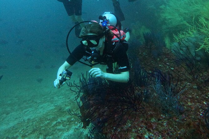 Scuba Diving Adventure in Musandam, Oman - Who should book this experience