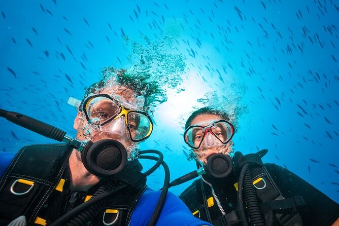Scuba Diving to Dimaniyat Islands Muscat Oman - Is $175 a fair price?