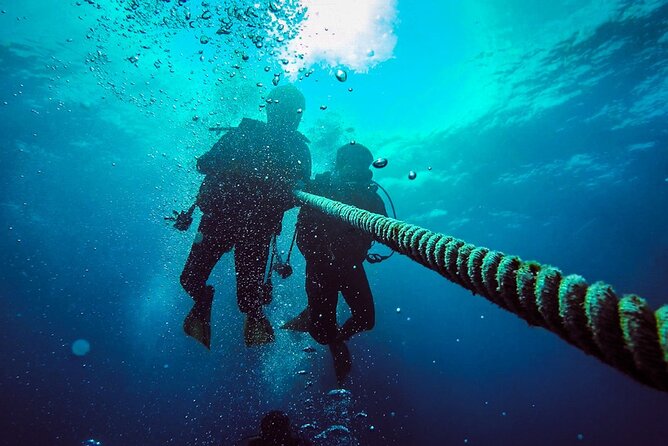 Scuba Diving to Dimaniyat Islands Muscat Oman - What the five-hour schedule is likely to feel like