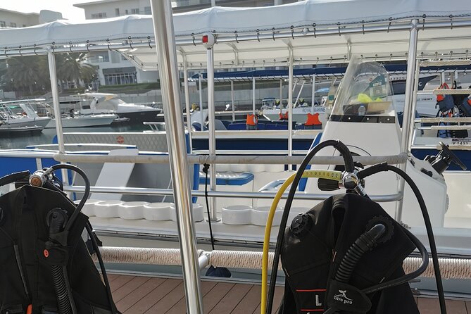 Scuba Diving Trips to Dimaniyat Islands - Is $176 good value?