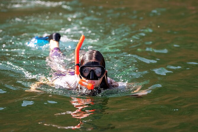 Sea Wonders Dolphin Watching and Snorkeling in Muscat - Key points to know before booking