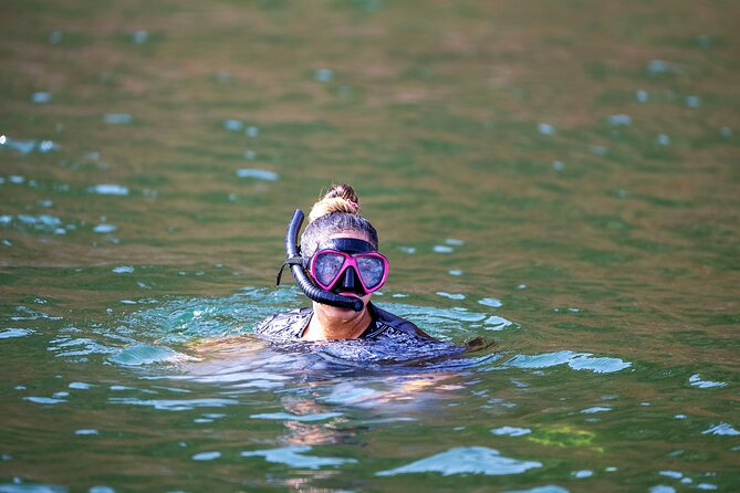 Sea Wonders Dolphin Watching and Snorkeling in Muscat - Dolphins off Muscat, then time in the water