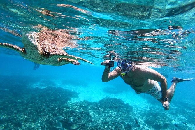 Snorkeling Adventure to Daymaniat Islands - Two snorkeling stops, two chances to see marine life