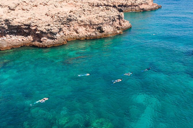 Snorkeling Adventure to Daymaniat Islands - Is $110 a fair price?