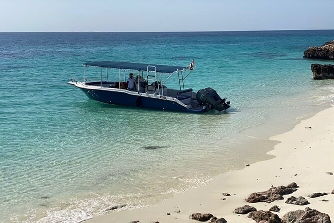 Snorkeling Adventure to Daymaniat Islands - Practical details before you reserve
