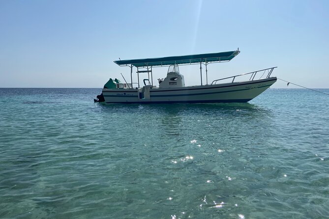 Snorkeling at Dimaniyat Islands and Dolphin Watching - Dolphin watching: treat it as a possibility