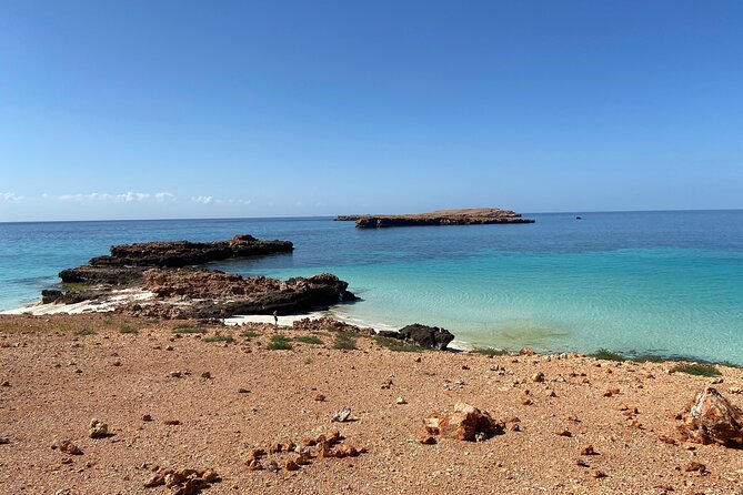 Snorkeling at Dimaniyat Islands and Dolphin Watching - What the $87 price really gets you