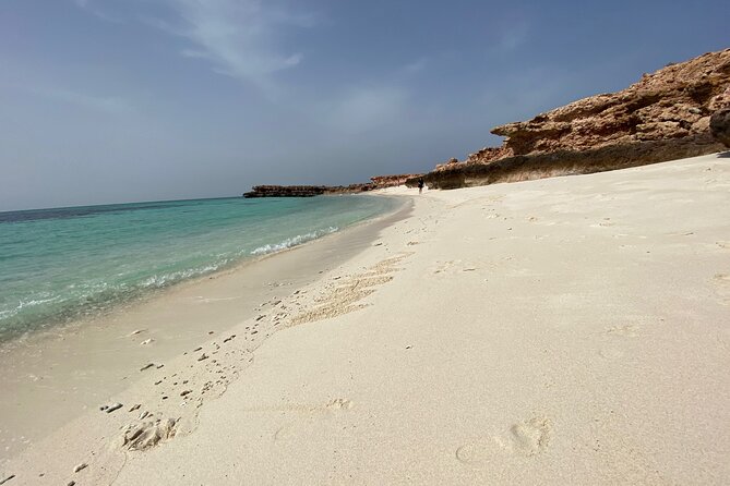 Snorkeling at Dimaniyat Islands and Dolphin Watching - What the guides add to the wildlife search