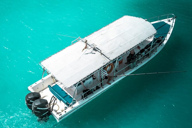 Snorkeling Experience at Ad Daymaniyat Islands in Muscat - Key Points to Know Before You Book