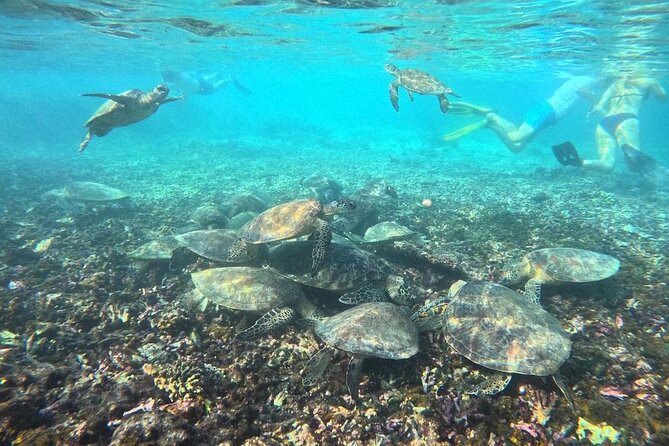 Snorkeling Experience at Ad Daymaniyat Islands in Muscat - Who Will Enjoy This Most?