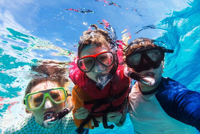 Snorkeling trips to Daymaniat Islands Sharing Trip - Turtles, rays, and the chance of sharks