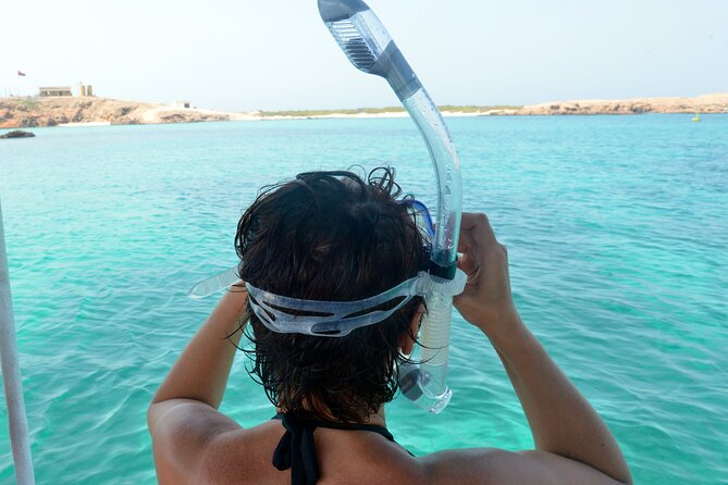Snorkeling trips to Daymaniat Islands Sharing Trip - What you get for $75.05