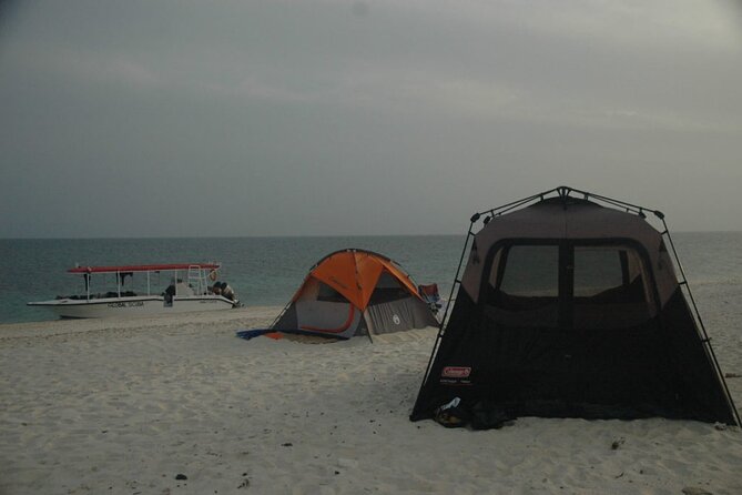 Snorkeling trips to Daymaniat Islands Sharing Trip - Who will enjoy this trip most