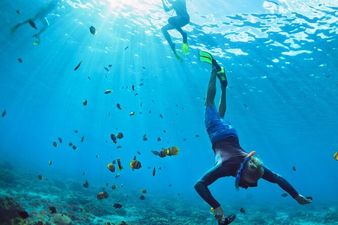 Snorkeling trips to Daymaniat Islands Sharing Trip - Booking, cancellation, and weather notes