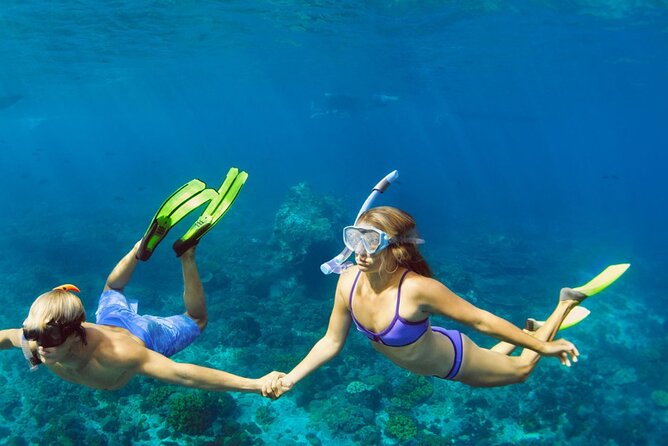 Snorkeling trips to Daymaniat Islands Sharing Trip - The first snorkeling stop: clear water and coral