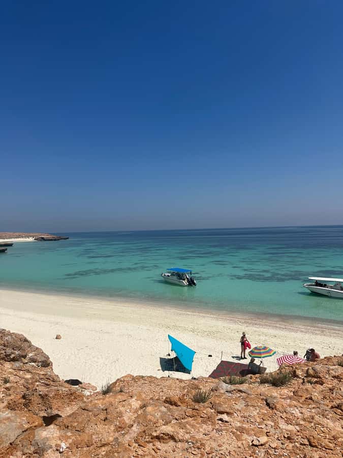 Snorkeling with turtles at Ad Daymaniyat Islands - From Seeb Port to open water