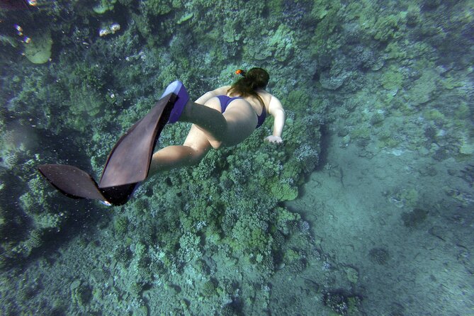 Snorkelling tours to Daymaniyat island - A boat ride with real weather conditions