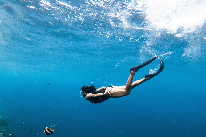 Snorkelling tours to Daymaniyat island - Food, comfort, and what the $85 covers