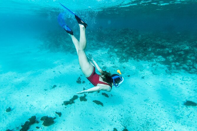 Snorkelling tours to Daymaniyat island - How to prepare for a better morning