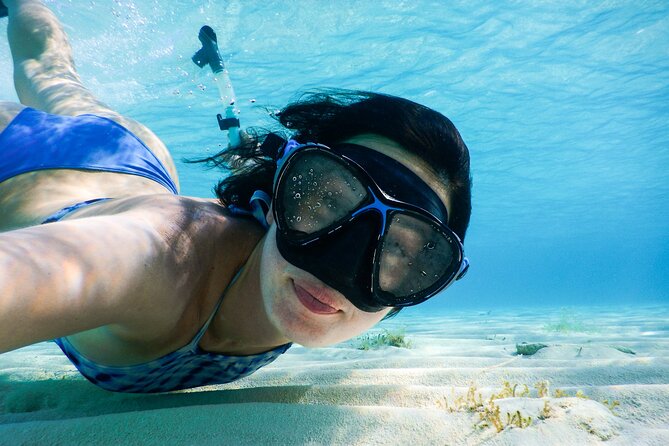 Snorkelling tours to Daymaniyat island - Should you book the Daymaniyat Islands trip?