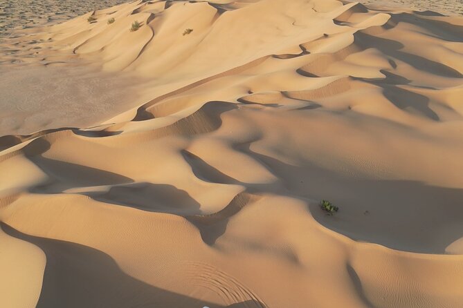 Sunset desert safari Salalah with Dinner in a Bedouins camp - What the $150 price means