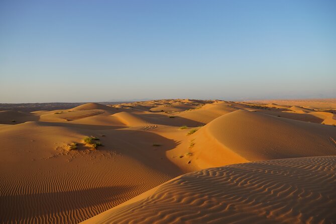 Sunset in Wahiba Sands 4x4 Adventure - Camel riding, with one cost to watch
