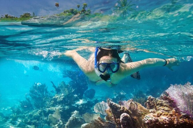 The Jewel of Muscat Sea, Daymaniyat Islands - Al Jabal Al Kabeer Island and the sandy beach stop