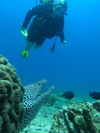 Try scuba Diving Tours To Daymaniyat Islands.