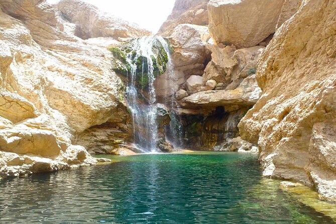 Wadi Arbeieen Tour - Who will enjoy this day most