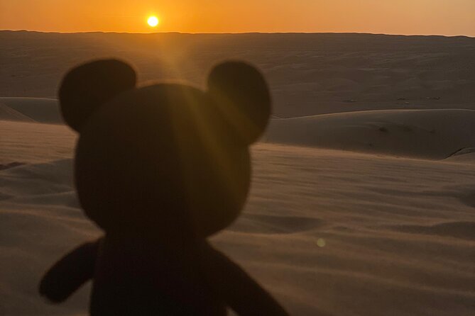 Wadi Bani Khalid and Wahiba Sands Desert with Sunset Watching - What the wadi stop means for different groups