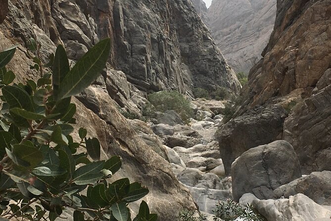 Wadi Shab and Bimmah Sinkhole Full Day Tour - Swimming toward the cave and waterfall