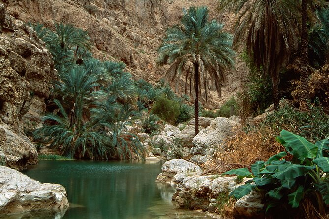 Wadi Shab and Bimmah Sinkhole Group Full Day Tour - Lunch after the water