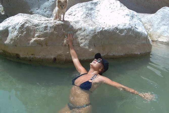 Wadi Shab Coastal Trekking - Is $208 per person good value?